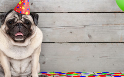 Message d’anniversaire pour une amie : mots humoristiques et touchants