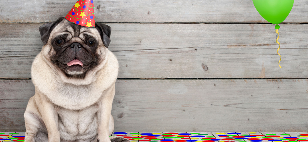 Message d’anniversaire pour une amie : mots humoristiques et touchants