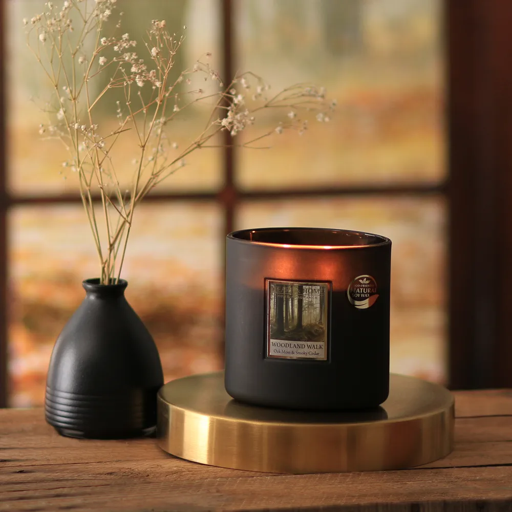 Ellipse 2 mèches Balade en forêt