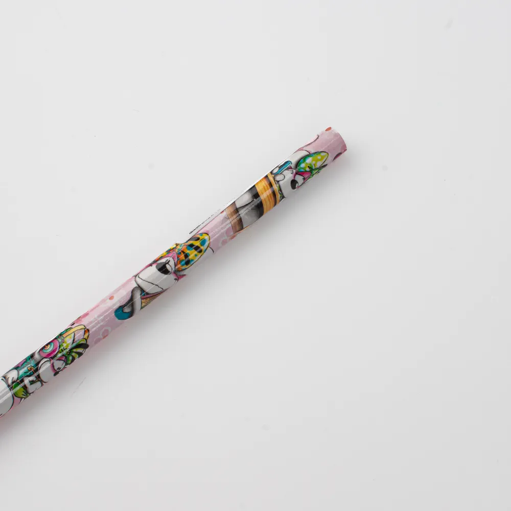 Crayon à papier Diddl